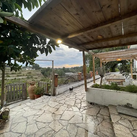 Spacious House + Pool * Tortosa