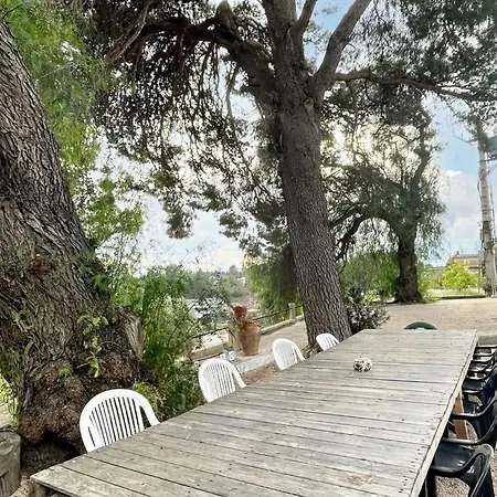 Spacious House + Pool Tortosa